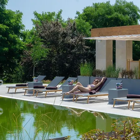 Ana Europa אפורי נורד